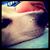 Richard Brandon Hernandez's profile image