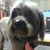 Trish Johnston's profile image
