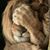Judy Wood's profile image