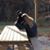 Lori Jeanne's profile image