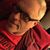 Todd Knapp's profile image