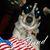 Jeff DeHart's profile image