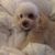 Beth Allen's profile image