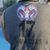 Jaziel Macias Ortiz's profile image