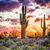 Debbie Terkelson Cazier's profile image