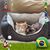 Nanci Soo's profile image