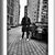 Ermal Tarelli's profile image