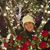 Norma Piermarini Marshall's profile image