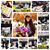 Evelyn Anzaldo Garcia's profile image