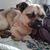 Neely Edwards's profile image