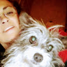 Madalena A.'s profile image