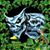Johnny Vandermeir's profile image