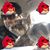 Francis Savoi's profile image