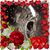 Michael Stull's profile image