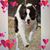 Lynette Wylds Prescott's profile image