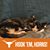 Cathi Matthews-Tebben's profile image