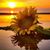 Tammi Davis's profile image