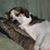 Tom Lowson III's profile image