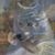 Gene LeClair's profile image