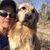 Kristi Paradis's profile image