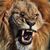 Alan Michel's profile image