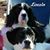 Deb Andrison's profile image