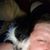 Jason Niswanger's profile image