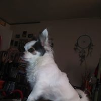 Lisa Wood's profile image