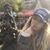 Vanessa Favela's profile image