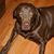 Rusty Davis's profile image