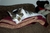 julie u.'s profile image