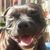 Julie Manolis's profile image