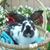 Rich Sievers's profile image