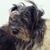 Tipper Moose's profile image