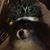 Lisa Graves's profile image