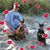 Shannon Ealy Evans's profile image