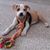 Darleen White's profile image