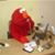 Rogelio Rodriguez O's profile image