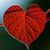 Jeannie McAbee's profile image