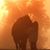 Carolyn Wilder's profile image