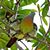 Susan Menger's profile image