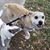 Sherri Long's profile image
