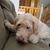 Brenda Rippentrop Meier's profile image