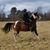 Abbey Burson's profile image