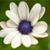 Kim Humphreys's profile image