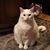 Faye Buckner's profile image