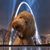 Susan Kargacin Hurst's profile image