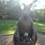 Brian Ford's profile image