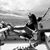 Anne Funai Page's profile image