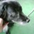 Stefanie Rogers Edwards's profile image